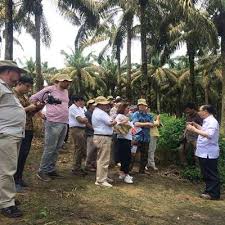 Salah satunya tentu saja perkebunan kelapa sawit dimana perkebunan ini menjadi salah satu sektor yang paling berkembang di negara kita ini. Kunjungi Kebun Sawit Asian Agri Begini Kesan Para Dubes Eropa Ekonomi Bisnis Com