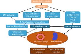 nutrition in kidney disease core