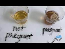 pregnancy test at home with dish soap