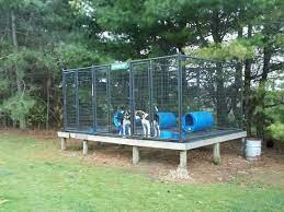 diy dog kennel