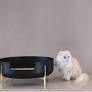 伊勢丹で好評を博した愛猫のための美しすぎるプロダクト、Katteの猫トイレ「La Toilette（トワレ）」が5月の発売前に第13回「インターペット」に出展（2024年3月29日）｜BIGLOBEニュース