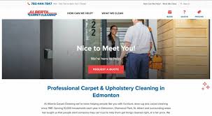 best carpet cleaning companies