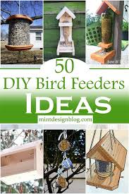 50 Diy Bird Feeders To Attract Feathery