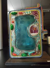 36 3d animal cell models available for download. There Are Cells Made Our Of Cake Clay Or Play Do Great Way For Students To Learn About The Different Plant Cell Model Animal Cell Project Plant Cell Project