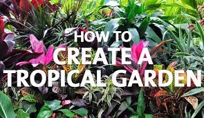 How To Create A Tropical Garden