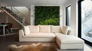 Do Living Walls Clean Air In A Home