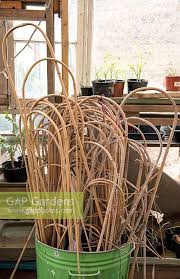 bamboo hoop canes st stock photo by