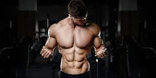 4 day dumbbell and bodyweight fat loss