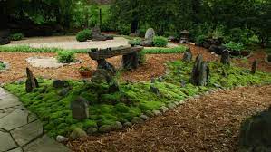 Tips For Creating A Moss Garden