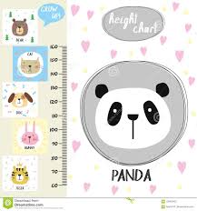 Kids Height Chart Cute Panda And Funny Animals Stock Vector