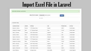 import excel file in laravel webslesson