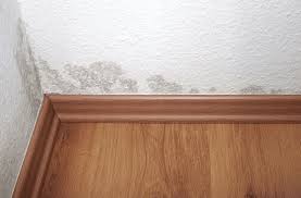 how to prevent mold in the house woodard