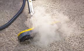 steam carpet cleaning north