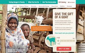 what to try now heifer international