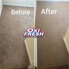 top 10 best carpet cleaning near house
