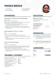top audit manager resume examples