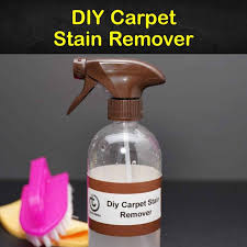 5 homemade carpet stain remover recipes