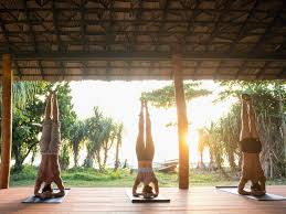 7 day yoga retreat in talalla with