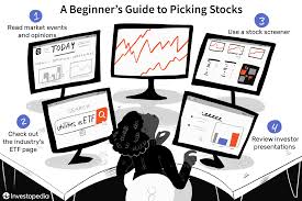 best stock picking advice for new investors