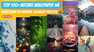 nature wallpaper 4k cute scenery