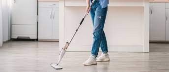 best steam mop for vinyl floors in 2023