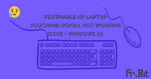 I'm not sure exactly what range of hp laptops have this . Fix Enable Hp Laptop Touchpad Scroll Not Working Windows 10