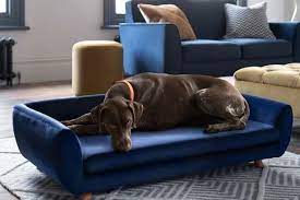 Next Is Ing Mini Sofas For Dogs And
