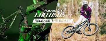 polygon collosus n9 mountain bike