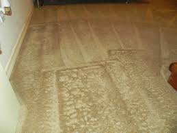 advane carpet cleaning el paso