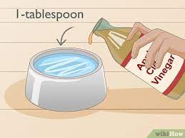 4 ways to kill fleas in a home wikihow