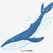 blue whale clipart png images blue