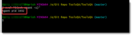 clone repository using ssh in git