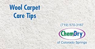 wool carpet care tips chem dry of