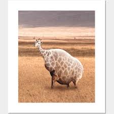 Cute Funny Fat Giraffe Giraffe
