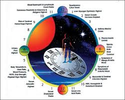How To Re Time Your Circadian Rhythms