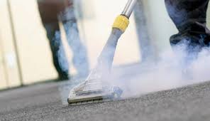 professional steam cleaning dust busters
