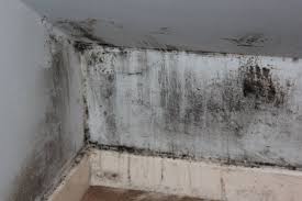 vapour barrier lead to mold and rot