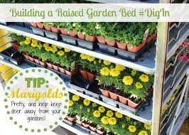 Diy Raised Garden Bed