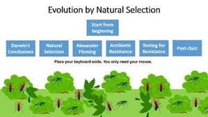 Genetic variation is key to evolutionary change. Evolution By Natural Selection Interactive Tutorial Animationideasstudent Evolution Inte Evolution Engaged Pictures Natural Selection