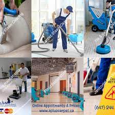 the best 10 carpet cleaning in toronto