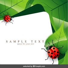 Template With Ladybug And Leaves Vector Free Download