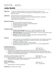 Analyst Programmer Resume U2013 Simple Resume Formatentry Level
