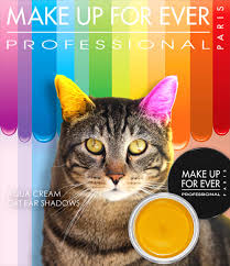 cat makeup and beauty mascot