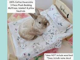 Reversible Bunny Bedding Set
