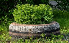5 reasons why you should use rubber mulch
