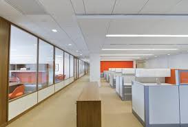 false ceiling cly green cleaning