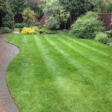 professional lawn care in cheltenham