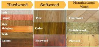 the story of hardwood and softwood
