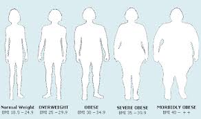 Pin On Female Form Obesity Womens Health