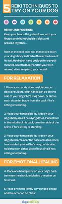 Reiki For Dogs 5 Techniques You Can Do At Home